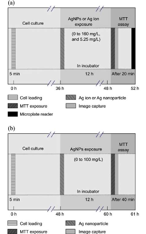 Schematic Diagrams Of The A Conventional Mtt Protocol In A Well