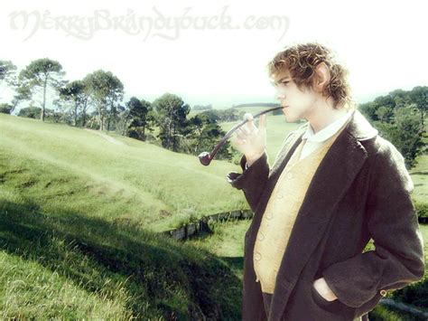 Merry Brandybuck in the Shire by Estella-Brandybuck on DeviantArt