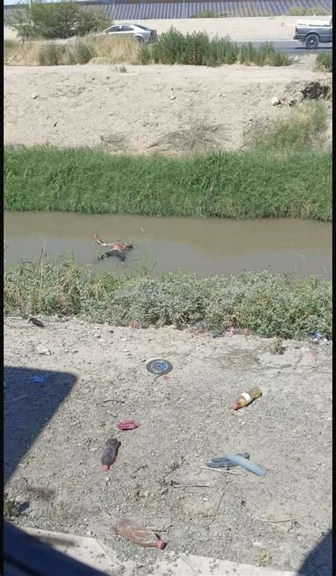 Encuentran Cadáver Flotando Sobre Canal De Aguas Negras El Bordo