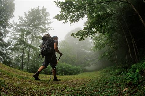 Turismo Como Alternativa Para A Conserva O Da Mata Atl Ntica