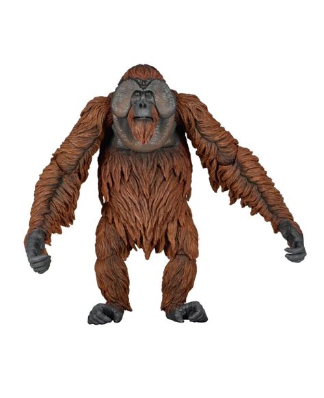 Dawn Of The Planet Of The Apes Orangutan