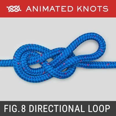 Figure 8 Directional Loop | How to tie a Figure 8 Directional Loop ...