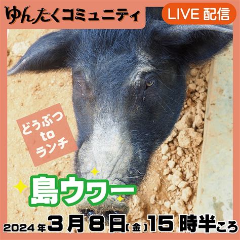 ゆんたくコミュニティ限定ライブ配信どうぶつtoランチ【島ウヮー】 沖縄こどもの国｜ゆんたくコミュニティでずっと応援！（沖縄こどもの国