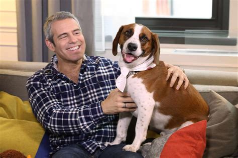 Andy Cohen on Adopting His Dog Wacha and How He Changed His Life