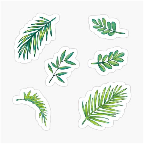 Tropical Island Monstera Leaf Sticker Set Sticker By Geolescent Cute