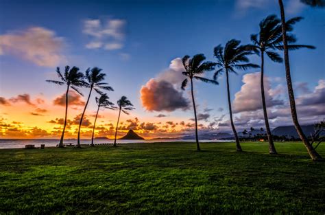 Kualoa Regional Park Information, Photos & More | Oahu Hawaii