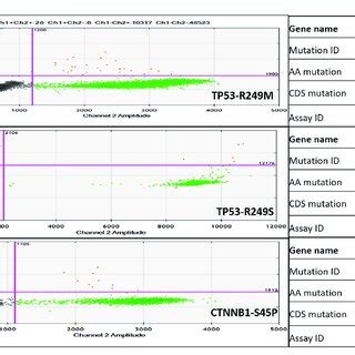 Droplet Digital Pcr Ddpcr Based Dual Probe Assay For Tp C G T