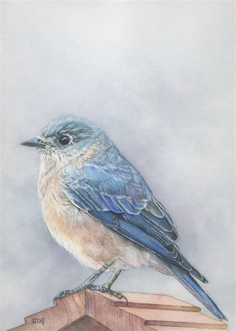 Bluebird Print 5x7 Of Watercolor Painting 5 By 7 Realistic Etsy