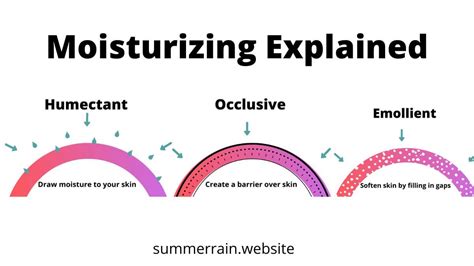 [misc] Humectant vs Occlusive vs Emollient : r/SkincareAddiction