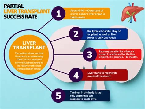 No Best Liver Transplant Surgeon In Chennai Advance Care