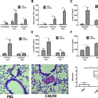 Mast cell degranulation causes local inflammation in mice. C57BL/6 mice ...