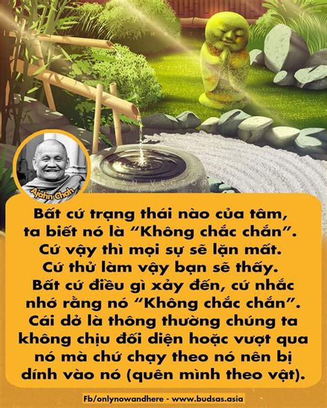 Ghim C A Lotus Tr N Ajahn Chah Trong N