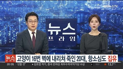 고양이 16차례 담벼락에 내리쳐 죽인 20대 항소심도 집행유예 동영상 Dailymotion