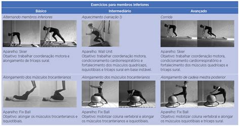 SciELO Brasil Comparação da satisfação motivação flexibilidade e