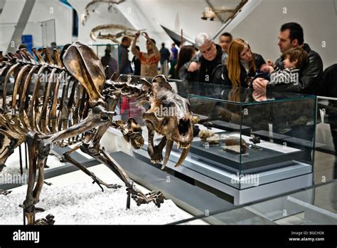 Esqueletos De Personas Fotograf As E Im Genes De Alta Resoluci N Alamy