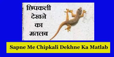 Sapne Mein Chipkali Dekhna सपने मे छिपकली देखने का मतलब जानिए