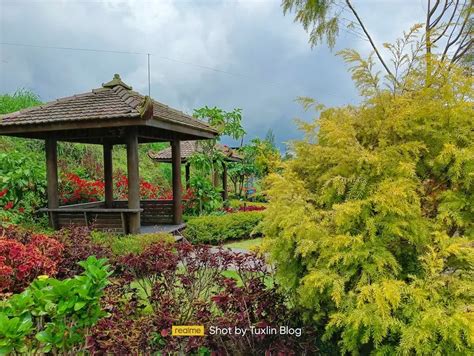 D Garden Cafe Selo Boyolali Hadirkan Sensasi Makan Di Tengah Taman