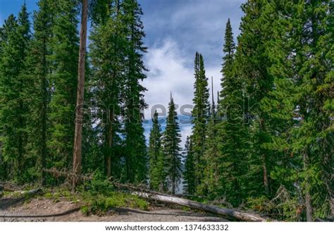 Hyalite Lake Montana Pine Trees Stock Photo 1374633332 Shutterstock