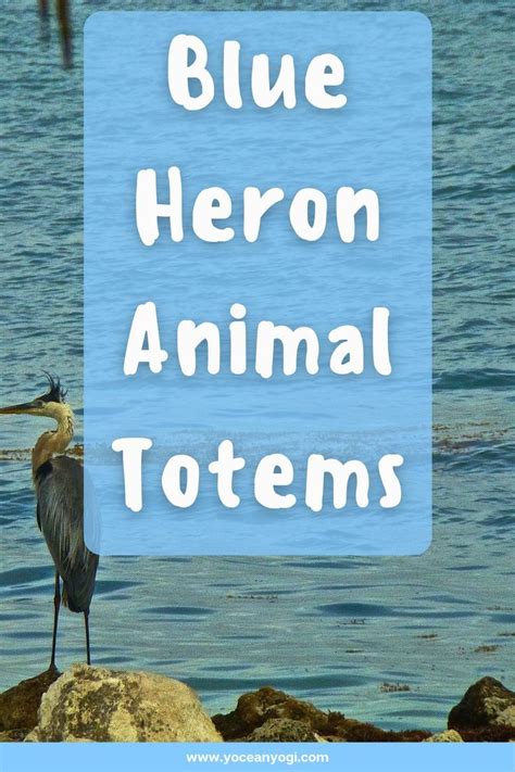 A Guide To The Blue Heron Spirit Animal Blue Heron Spirit Animal