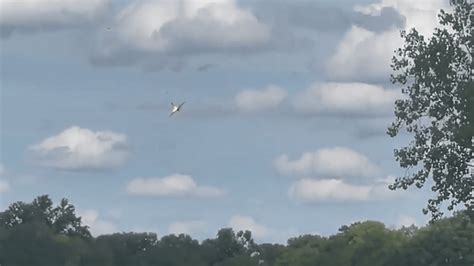 Plane Crashes At Thunder Over Michigan Air Show At Willow Run Airport