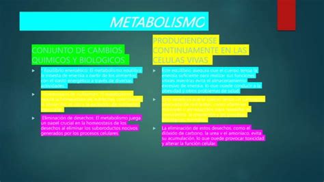 Homeostasis Pptx Enfermer A T Cnica Periodo Ppt