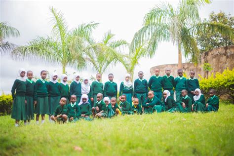 Greenbird English Medium Preand Pry School Tanzania Online Market