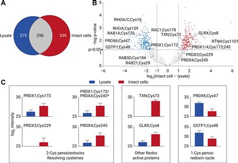 Site Specific Activity Based Protein Profiling Using Phosphonate