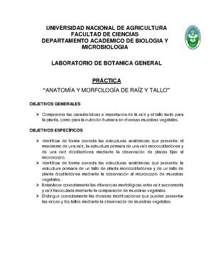 2020JPS Jornalizacion De Patologia Sistemica UNIVERSIDAD NACIONAL