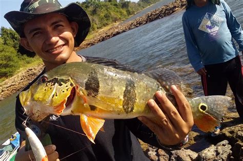 Pescaria De Tucunar No Baixo Rio Branco Rr Laus Pesca