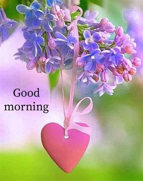 Good Morning Tea Morning Msg Good Morning Picture Morning Pictures