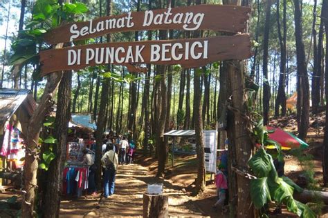 8 Aktivitas Menarik Di Puncak Becici Jogja Yang Sudah Buka