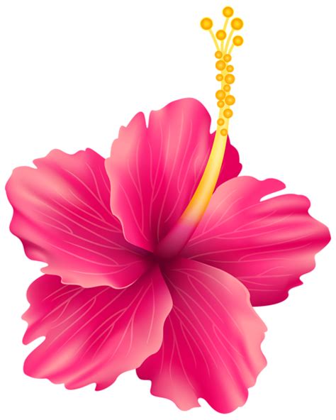 Pink Flower Clipart Moana Flor De Moana Png Transparent Png Full