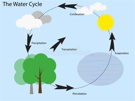 Thai water cycle stock vector. Illustration of geography - 60950007