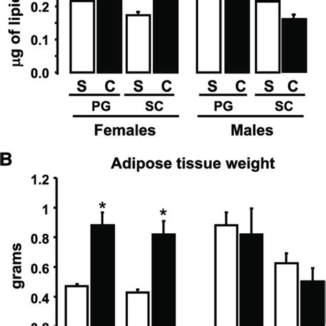 Effect Of Castration On Adipocyte Size And Adipose Tissue Weight Male Download Scientific