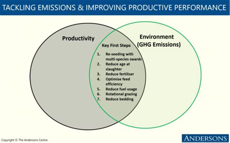 Carbon Footprint Assessments The Andersons Centre