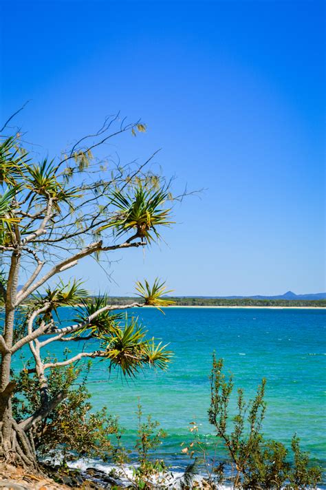 A Visit to Noosa National Park • The Wanderbug