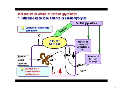 Cardiotonic drugs. Antiarrhythmic agents - презентация онлайн