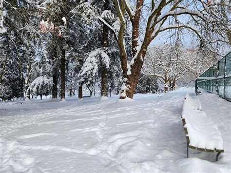 A nice, snowy morning in Vancouver : r/snow