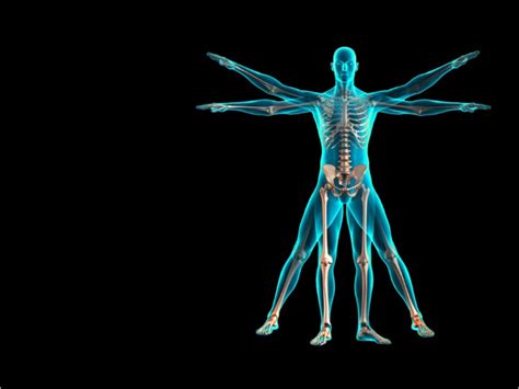 Human Body Powerpoint Background