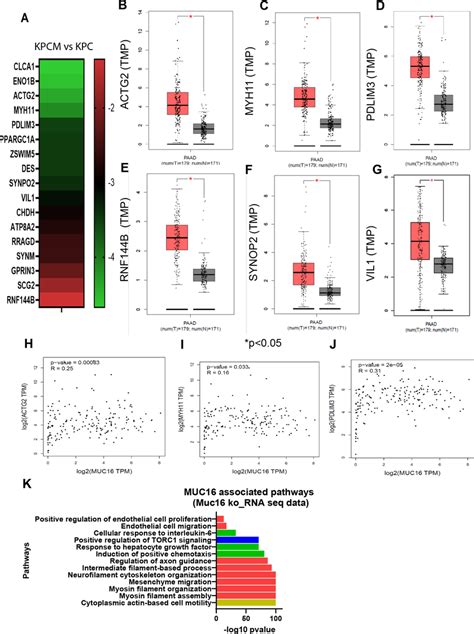 Transcriptome Analysis Correlation Of MUC16 And Its Gene Signature In