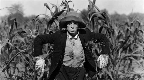 This Scarecrow Has Quite The Brain Filmizon