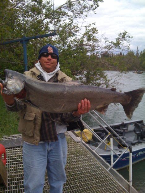 Sweet Kenai King Jim Rusk Fishing Guide Alaska