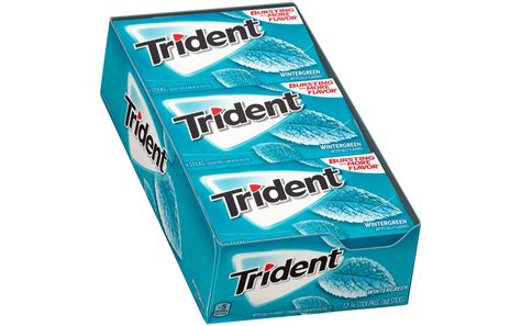 Trident Sugar Free Gum Wintergreen, 14-Piece, 12 Count | bestcandyshop