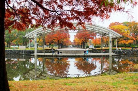 花博記念公園 鶴見緑地（大阪府大阪市）