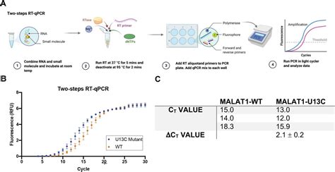 Rt Qpcr As A Screening Platform For Mutational And Small Molecule