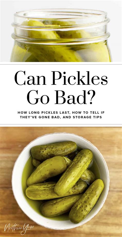 Do Pickles Go Bad Yes Here Are All The Juicy Details