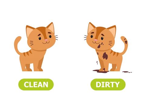 Illustrator Of Opposites Dirty And Clean Premium Vector