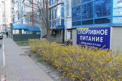 Читайте о компании Body-pit! Инвентарь, спортпит, БАДы с доставкой в ...