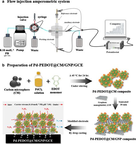 The Flow Injection Amperometric Detection System A And The