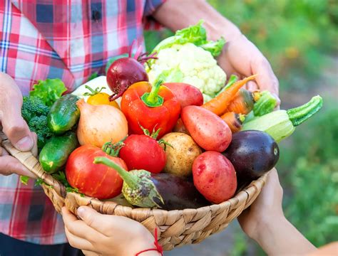 Whats The Best Time Of Day To Harvest Your Vegetables Backyard Boss